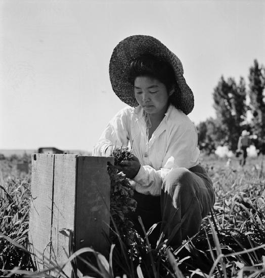 A Japanese-American farm worker. Nyssa, Oregon, July 1942.