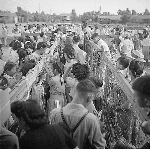 Photograph of the Poston, Arizona Relocation Camp for Japanese-Americans by Hikaru Iwasaki, 1945.