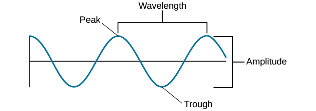 图表说明了波浪的基本部分。 从左向右移动，波长线从一条水平直线的上方开始，在该直线的上方和下方下降和上升均匀。 波长线到达最高点的区域之一被标记为 “峰值”。 标有 “波长” 的水平括号从该区域延伸到下一个峰值。 波长达到最低点的区域之一被标记为 “低谷”。 标有 “振幅” 的垂直括号从 “峰值” 延伸到 “低谷”。