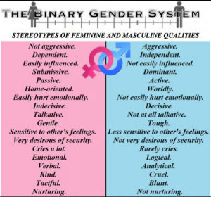 gender-binary-300x280.png