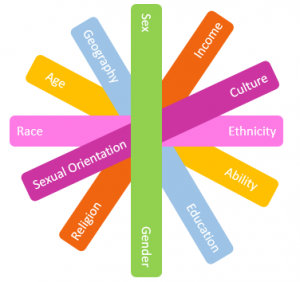Graphic highlighting intersectionality: radial bars of different colors with words like sex, gender, income, race, religion etc.