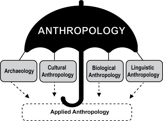 “anthropology” hovers over text boxes representing the subdisciplines.