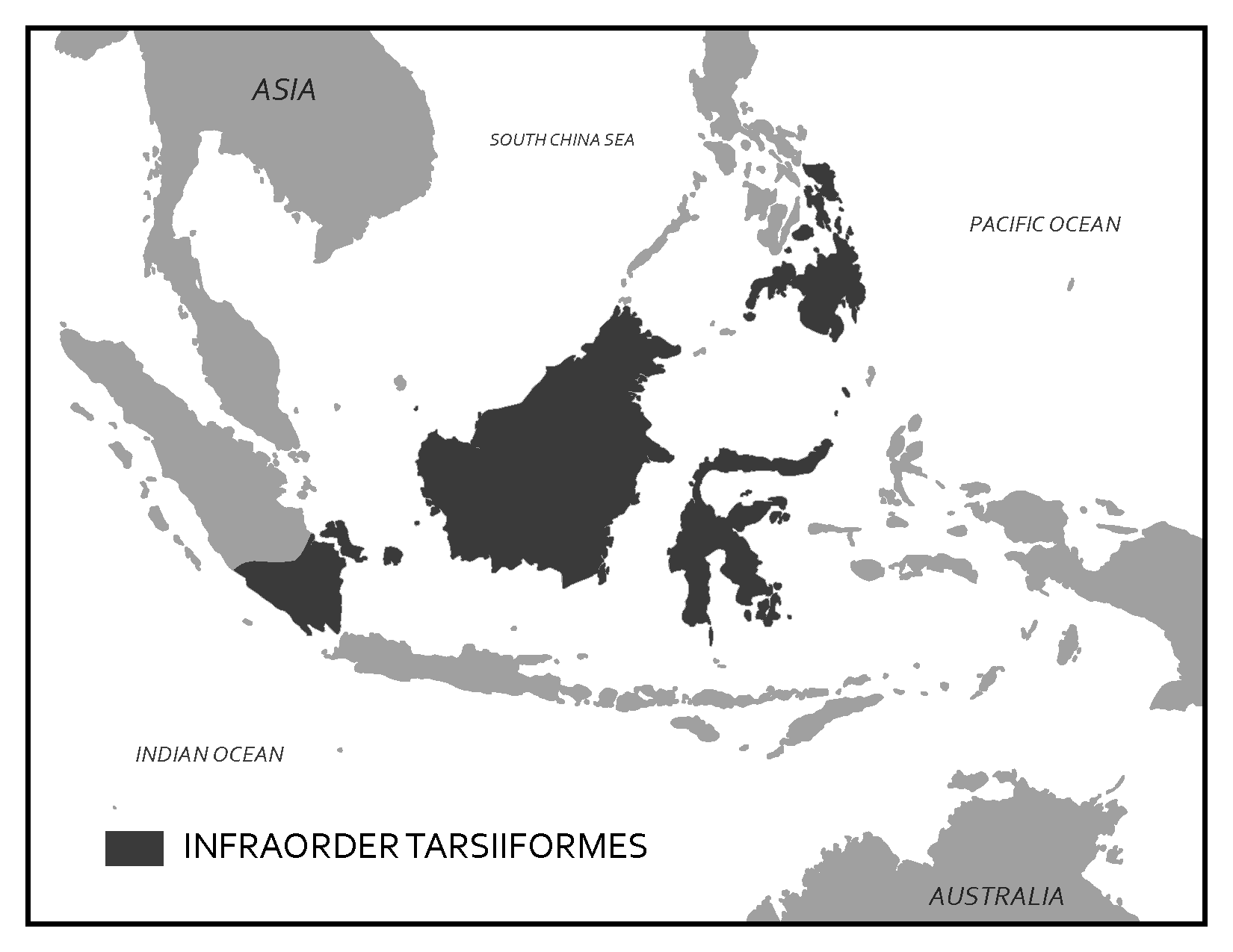 Map of Southeast Asia shows distribution of tarsiers.