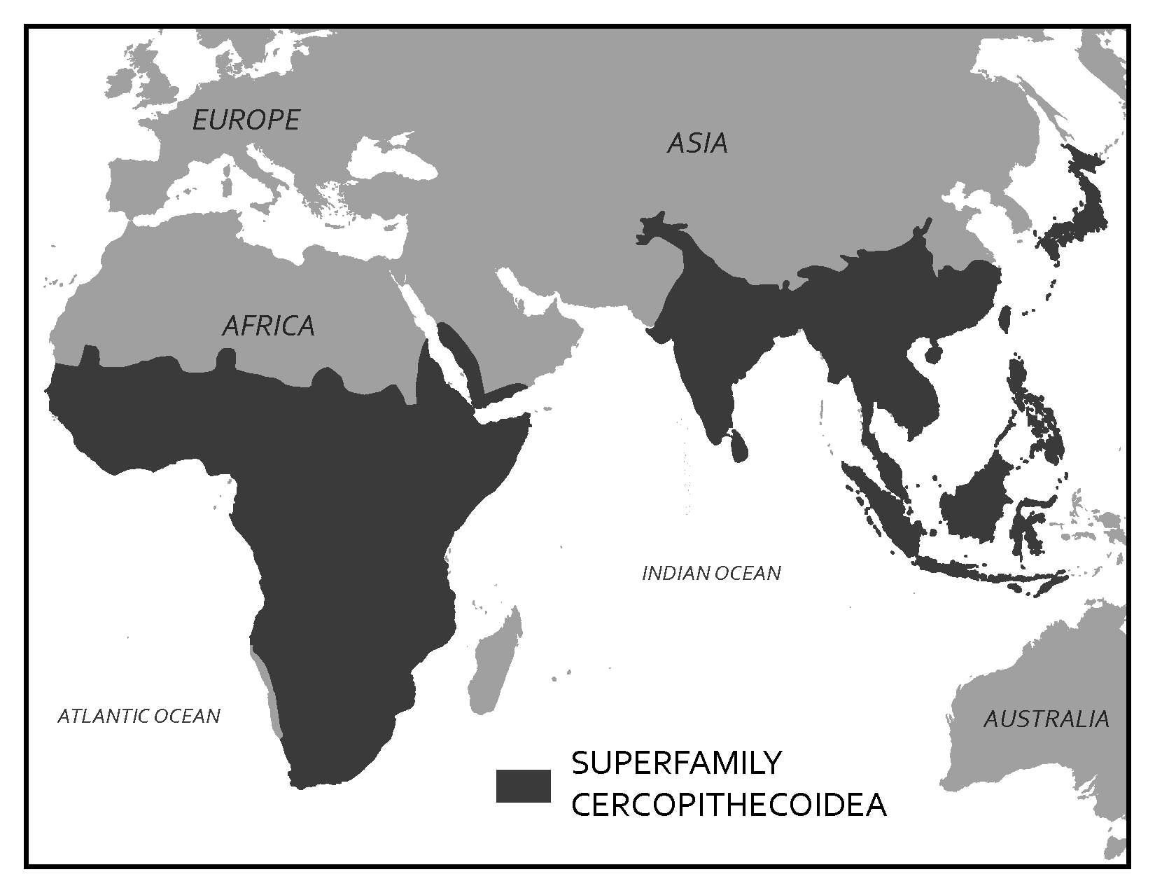 Areas of Europe, Asia, Africa, and Australia where cercopithecoids live.