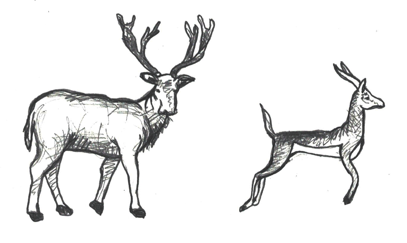 Illustration of an elk (left) and gazelle (right).