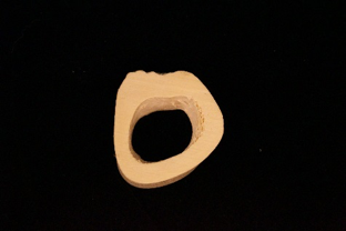Ring-like cross section of bone.