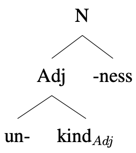 Tree diagram: unkind-ness [N [Adj un + kind(Adj)] -ness]