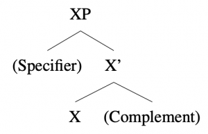 X-bar schema for English: [ XP [ (Specifier) ] [ X' [ X ] [ (Complement) ] ] ]