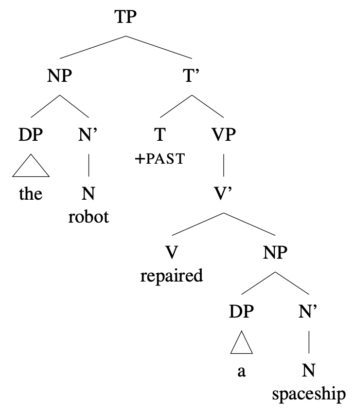 Tree diagram: [ TP [ NP [DP [the] ] [N' [N robot ] ] ] [T' [T +PAST ] [ VP [V' [V repair ] [NP [DP [a] ] [N' [N spaceship ] ] ] ] ] ] ]