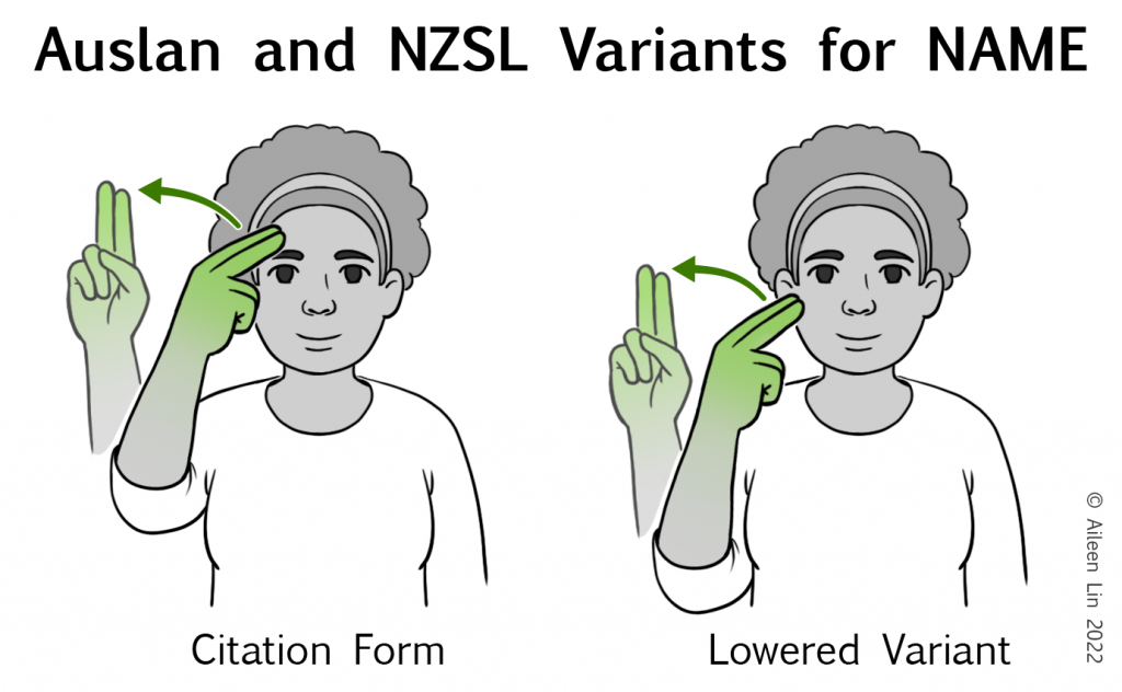 Image shows a cartoon person demonstrating two variants for NAME in Auslan and NZSL. One variant is articulated at the temple, the other variant is articulated at the cheek.