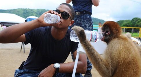 一张照片显示一个人用水瓶喝水，旁边有一只猴子用同样的方式从瓶子里喝水。