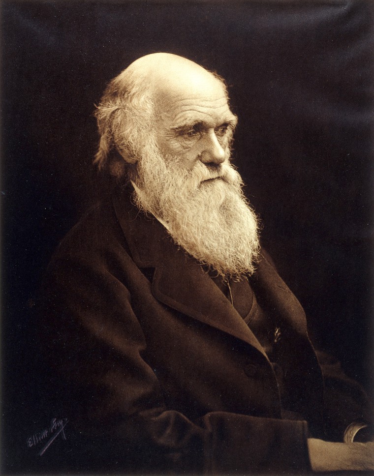 Portrait of Charles Darwin, a white man with a long beard wearing a dark jacket.