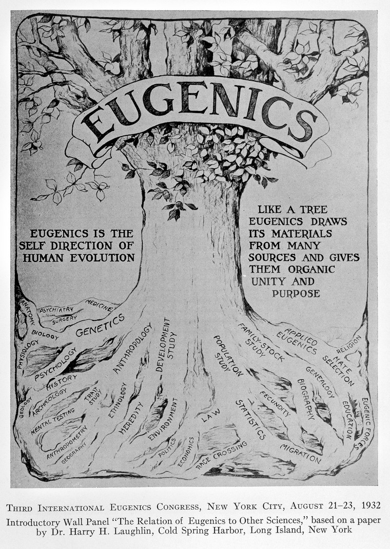 Image of a tree representing eugenics with many roots listing scientific fields like genetics, anthropology, psychology, and genealogy, as well as terms like "mental testing," "race crossing," and "eugenic forces." Caption reads Wall panel showing “The Relation of Eugenics to Other Sciences”, based on a paper by Dr. Harry H. Laughlin.