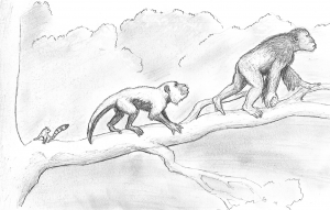 two-monkeys-and-small-creature-300x191.png