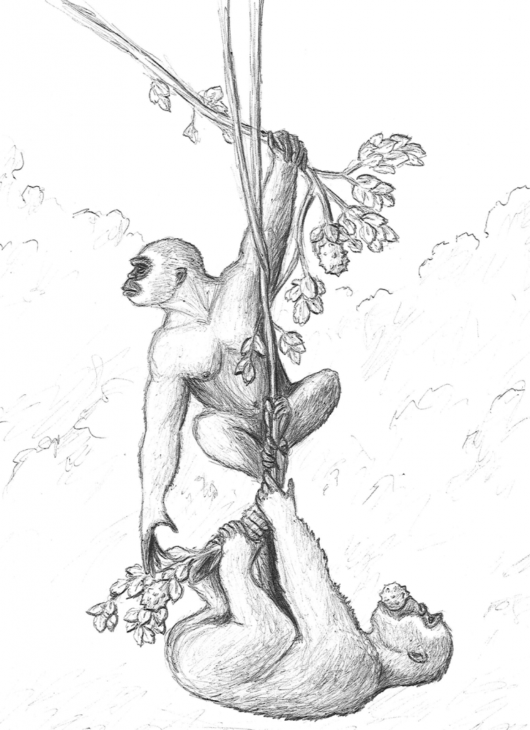 Hanging-from-vine-1-744x1024.png
