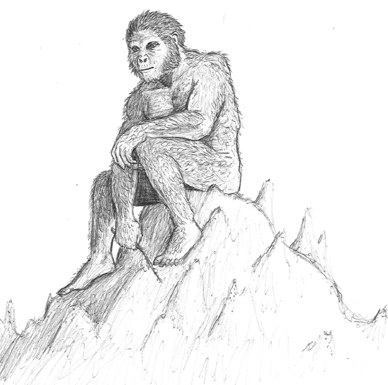 Perched-on-rock-1-1024x1016.png