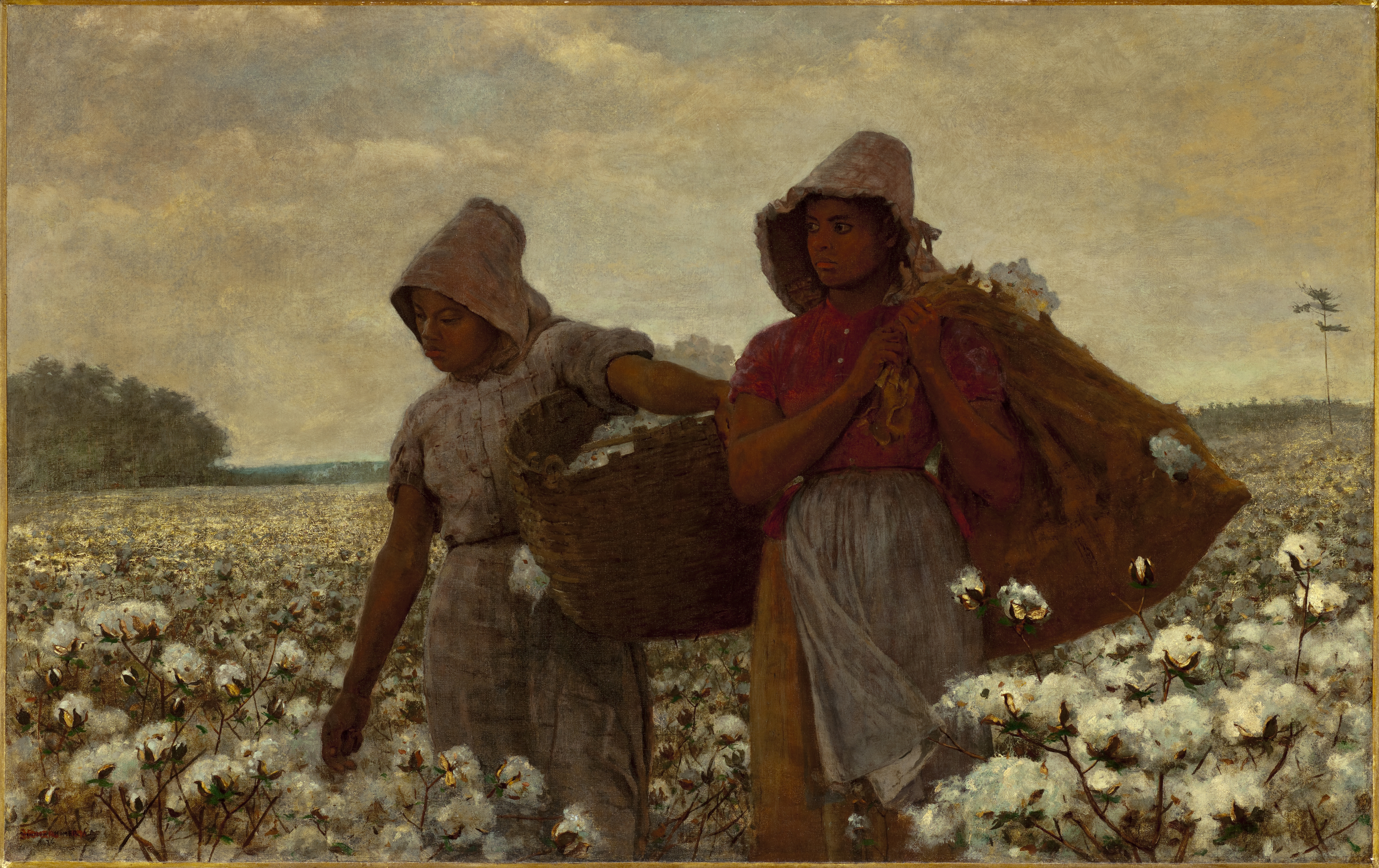 Two black women with heavy bags of cotton in a vast field of cotton