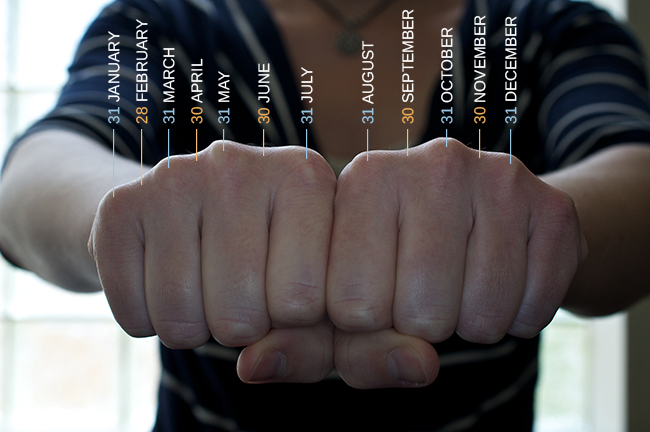 一张照片显示一个人的两只手紧握在拳头上，所以指关节露出来。 指关节标有月份和每个月的天数，指关节突起对应于 31 天的月份，指关节之间的缩进对应于 2 月和 30 天的月份。