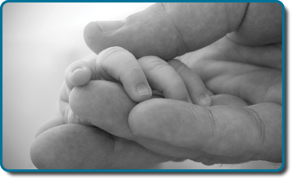 Una imagen muestra dos manos entrelazadas. Una es la mano grande de un adulto, y la otra es la diminuta mano de un infante. El asimiento completo de la mano del bebé es aproximadamente del tamaño de un solo dedo adulto.