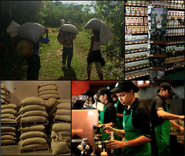 Photo collage of coffee farming, storage, and finally to the cafe