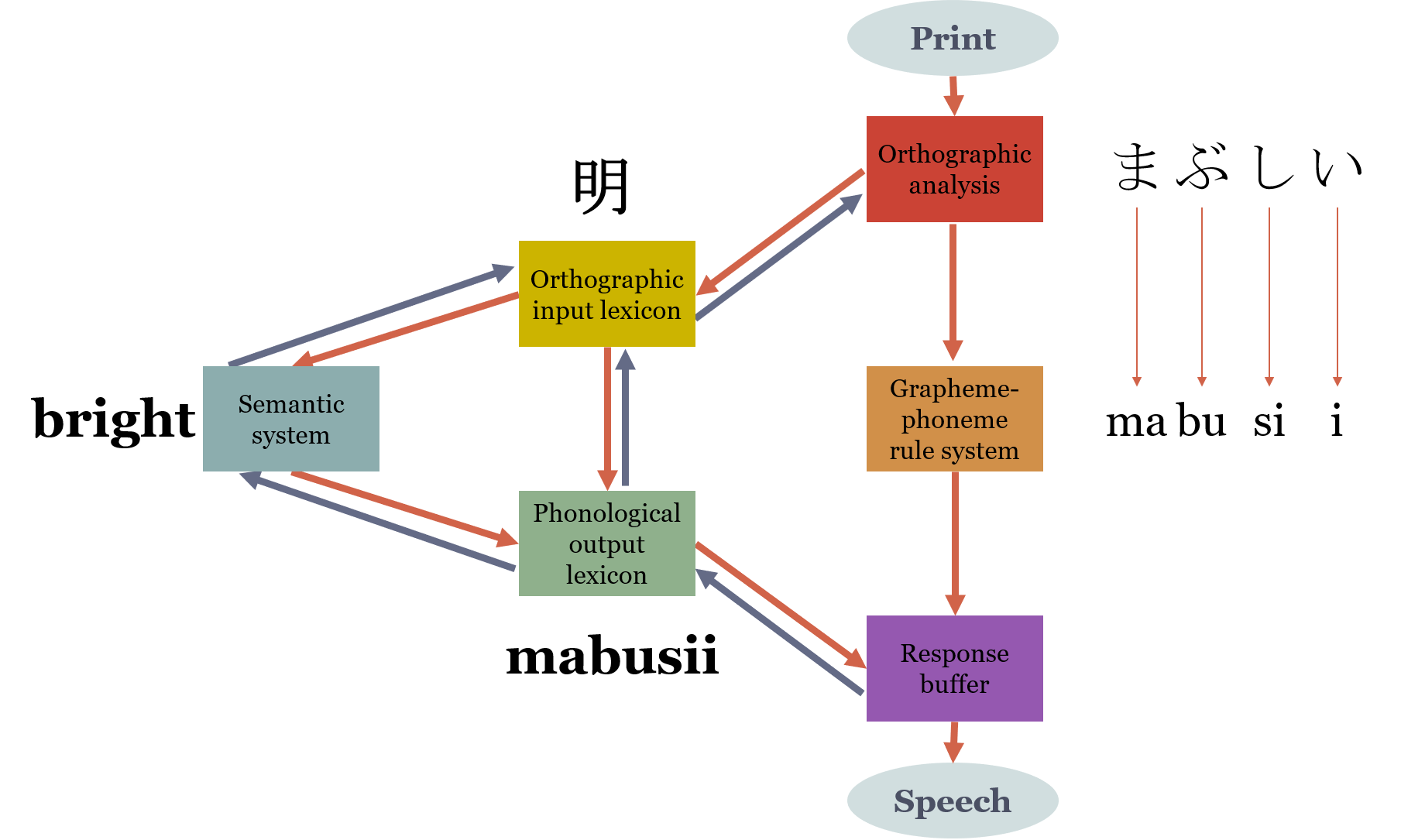Reading-Dual-Route-Model-Japanese-2.png