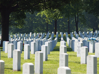 Se muestra un cementerio con muchas lápidas entre la hierba y los árboles.
