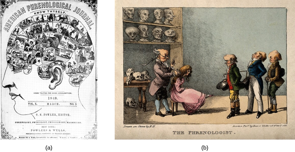 照片 A 显示了大约 1848 年《美国语言学杂志》的封面。 顶部写着：“美国语言学杂志”。 下面写着 “认识你自己”。 下方是一张人头朝左的照片，其中许多照片构成了大脑所在的区域。 在人的耳朵下方，上面写着 “家庭消费的家庭真相”。 下面的几行是：“1848”、“Vol. X，March，No.3”、“O.S. Fowler，编辑”、“语言学、生理学、面貌、磁学”、“纽约”、“福勒斯和威尔斯”、“拿骚街 131 号 Phrenological 内阁” 和 “每年 1 美元的条款，总是提前。 十英尺。一个数字。” 照片 B 显示了一个人坐在椅子上，后面还有另一个人的印刷漫画。 房间里还有另外三个人，墙上装饰着各种头骨。 图片下方写着：“E.H. 在石头上画的” 和 “The Phrenologist”。