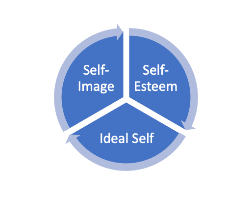 circle with three components of self-concept