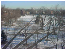 landscape in Salem.png