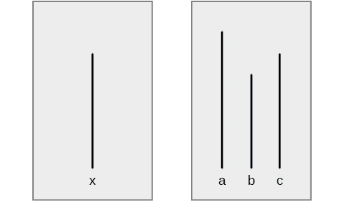 A drawing has two boxes: in the first is a line labeled “x” and in the second are three lines of different lengths from each other, labeled “a,” “b,” and “c.”