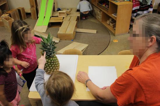 Teacher and children talking about a pineapple