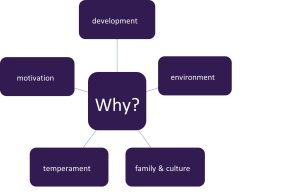 Why? Development, environment, family & culture, temperament, motivation
