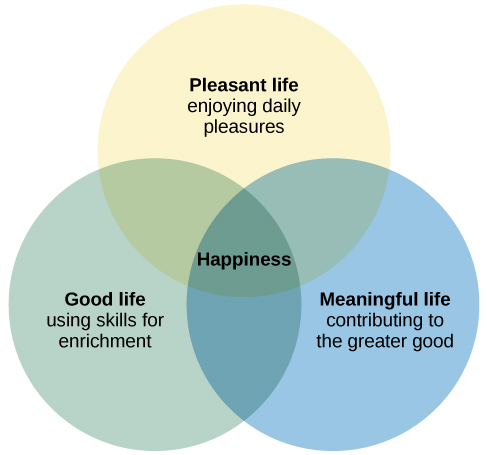维恩图有三个圆圈：一个标有 “美好生活：用技能充实”，一个标有 “愉快生活：享受日常快乐”，另一个标有 “有意义的生活：为更大的利益做出贡献”。 三个圆圈在标有 “幸福” 的部分重叠。