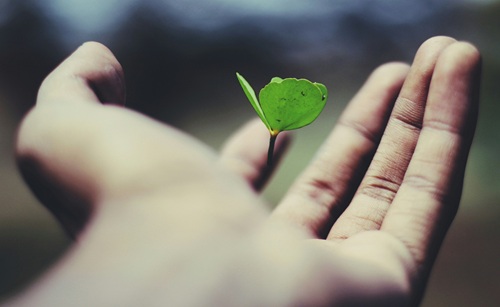 mindtouch.page#thumbnail