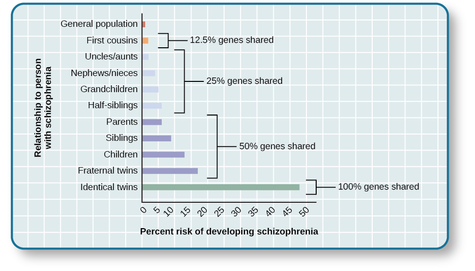Un gráfico de barras tiene un eje x etiquetado como “Porcentaje de riesgo de desarrollar esquizofrenia” y un eje y etiquetado como “relación con una persona con esquizofrenia”. Una serie de relaciones se correlacionan con el porcentaje de riesgo, mostrado con paréntesis que indican la relación genérica. La población general tiene un riesgo de 1%. Los primos hermanos tienen 2% de riesgo; comparten 12.5% de los genes. Las siguientes relaciones son tíos/tías, sobrinos, nietos y medio hermanos; comparten 25% de los genes y el riesgo oscila entre 3 y 6%. Las siguientes relaciones son padres, hermanos, hijos y gemelos fraternos; comparten el 50% de los genes y los riesgos son alrededor del 6, 9, 13 y 17%, respectivamente. Los gemelos idénticos comparten el 100% de los genes y tienen alrededor de 48% de riesgo.