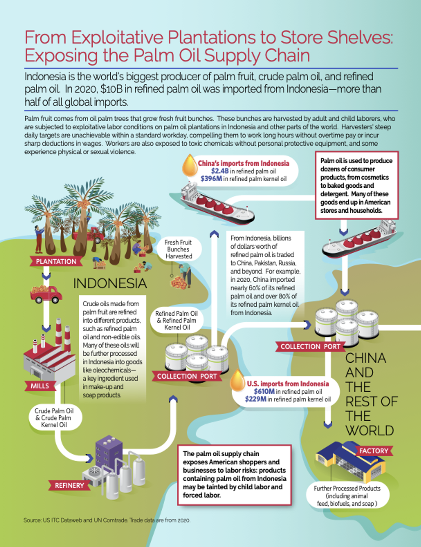 The image is an infographic titled "From Exploitative Plantations to Store Shelves: Exposing the Palm Oil Supply Chain." It highlights the palm oil production process in Indonesia, emphasizing labor exploitation and global trade. The infographic uses colorful illustrations and text to depict the journey of palm oil from plantations to consumers. Top Section: The title is written in bold red text, followed by a summary explaining Indonesia's role as the largest producer of palm oil, crude palm oil, and refined palm oil. It notes that in 2020, $10 billion worth of refined palm oil was imported from Indonesia, accounting for more than half of global imports. Middle Section (Process Flow): On the left, a plantation is illustrated with palm trees and workers harvesting fresh fruit bunches. Text explains that these workers, including children, face exploitative conditions, toxic chemicals without protective gear, and physical or sexual violence. Arrows lead to mills where crude palm oil and crude palm kernel oil are processed. These oils are further refined into products like oleochemicals used in makeup and soap. The refined oils are transported to collection ports in Indonesia before being exported globally. Specific trade data is highlighted: China imported $2.4 billion in refined palm oil and $396 million in refined palm kernel oil. The U.S. imported $610 million in refined palm oil and $229 million in refined palm kernel oil. A factory illustration shows how palm oil is used to create consumer goods such as cosmetics, baked goods, detergent, animal feed, biofuels, and soap. Bottom Section: Text warns that products containing Indonesian palm oil may be tainted by child labor and forced labor risks. A note cites trade data sources from US ITC Dataweb and UN Comtrade. The infographic uses arrows to visually connect each step of the supply chain and includes icons representing ships, factories, barrels, and workers to reinforce its message.