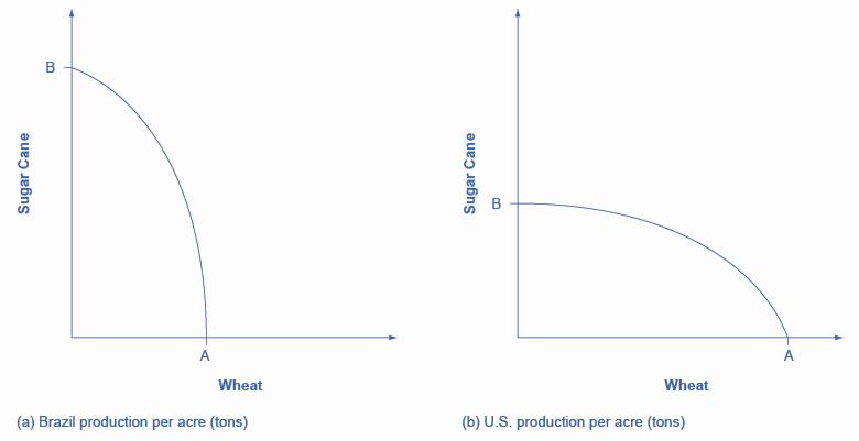 Este gráfico mostra duas imagens. Ambas as imagens têm eixos y rotulados como “Cana de açúcar” e eixos x rotulados como “Trigo”. Na imagem (a), a produção de cana-de-açúcar do Brasil é quase o dobro da produção de seu trigo. Na imagem (b), a produção de cana-de-açúcar dos EUA é quase metade da produção de seu trigo.