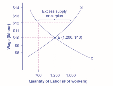 The graph shows how a price floor results from an excess supply of labor.