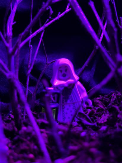 La Llorona Lego Figure