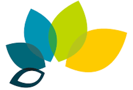 mindtouch.page#thumbnail