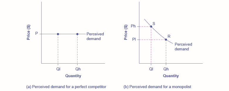 O gráfico à esquerda mostra a demanda percebida por um concorrente perfeito como uma linha reta e horizontal. O gráfico à direita mostra a demanda percebida por um monopolista como uma curva inclinada para baixo.