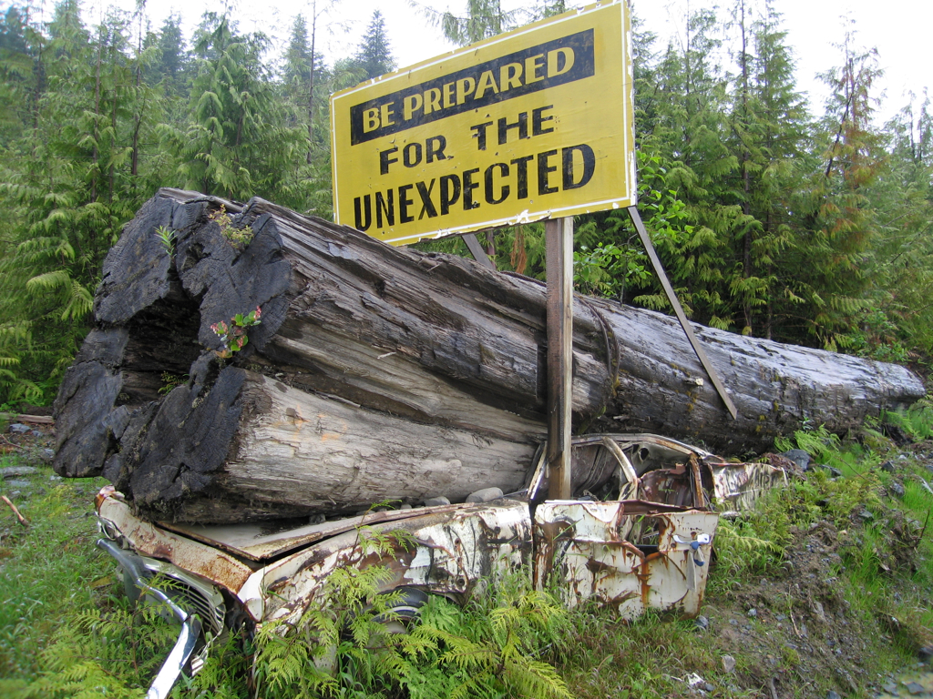 A large yellow roadside sign reads &ldquo;BE PREPARED FOR THE UNEXPECTED&rdquo; in bold black letters. Ironically, directly beneath the sign, a massive fallen tree has crushed an old, rusted car. The vehicle is severely flattened under the weight of the log, with parts of the car barely recognizable. The scene is set in a lush, forested area with dense green trees surrounding the wreckage. The image humorously emphasizes the message on the sign through a dramatic and unexpected real-life example.