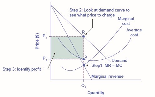O gráfico mostra os lucros do monopólio como a área entre a curva de demanda e a curva de custo médio no nível de produção do monopolista.