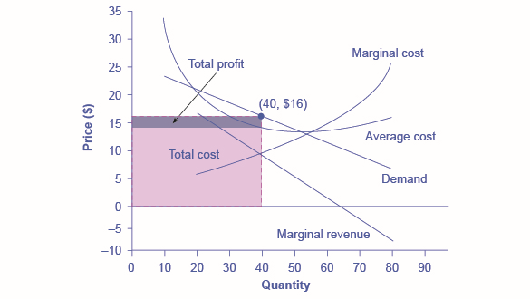 Le graphique montre que le point de maximisation de la production se produit lorsque le revenu marginal est égal au coût marginal. De plus, le prix maximisant le profit est donné par la hauteur de la courbe de demande au niveau de la quantité maximisant le profit.