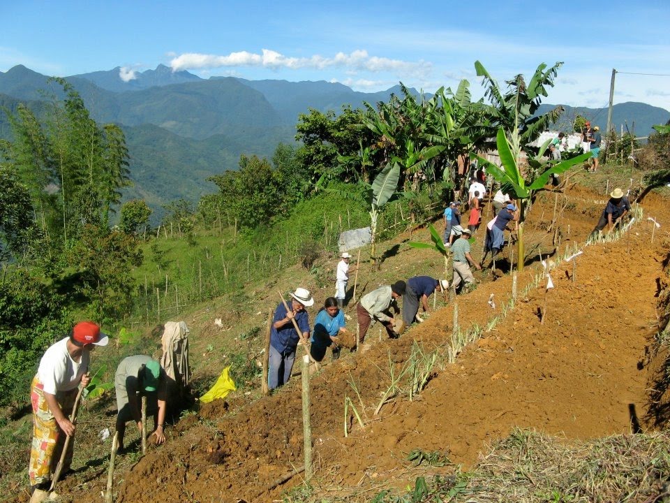 about 15 people stand on a steep hillside with rustic tools, working in the soil. Lush vegetation and mountains are behind them.