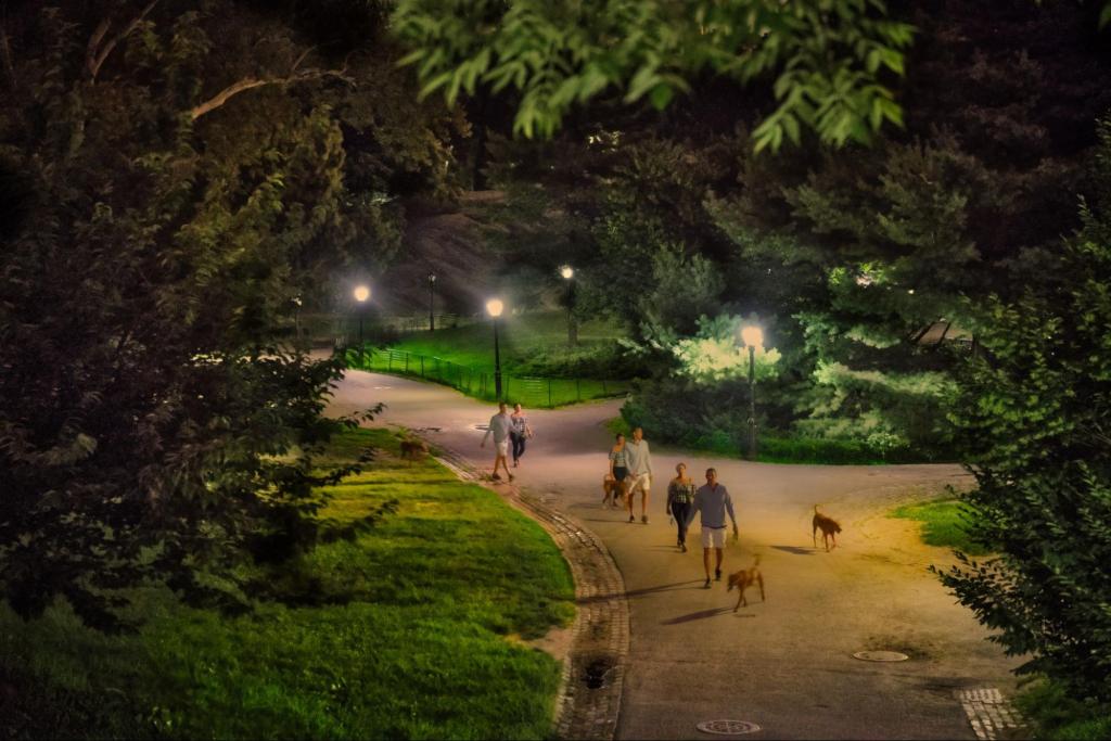 a photograph of central park after dark, with people walking their dogs under street lights.