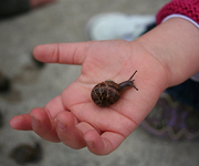 mindtouch.page#thumbnail