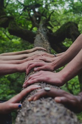 Ch 3 shane-rounce-DNkoNXQti3c-unsplash (1).jpg