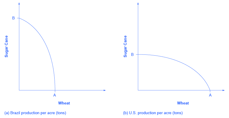 Esta gráfica muestra dos imágenes. Ambas imágenes tienen ejes y etiquetados como “Caña de Azúcar” y ejes x etiquetados como “Trigo”. En la imagen (a), la producción brasileña de caña de azúcar es casi el doble de la producción de su trigo. En la imagen (b), la producción de caña de azúcar de Estados Unidos es casi la mitad de la producción de su trigo.