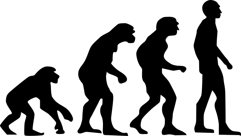 A simple black silhouette of a cat facing to the left, with a curved tail and pointed ears.